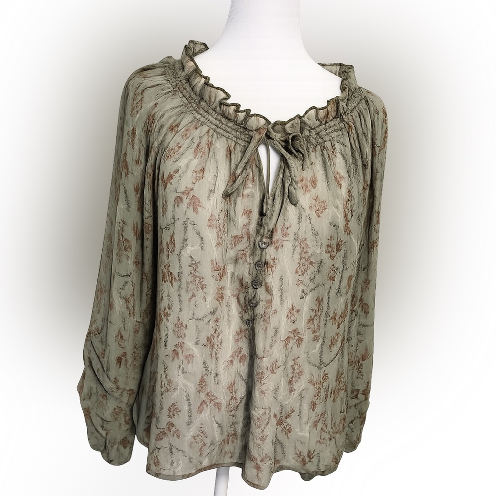 Women’s sheer peasant blouse.